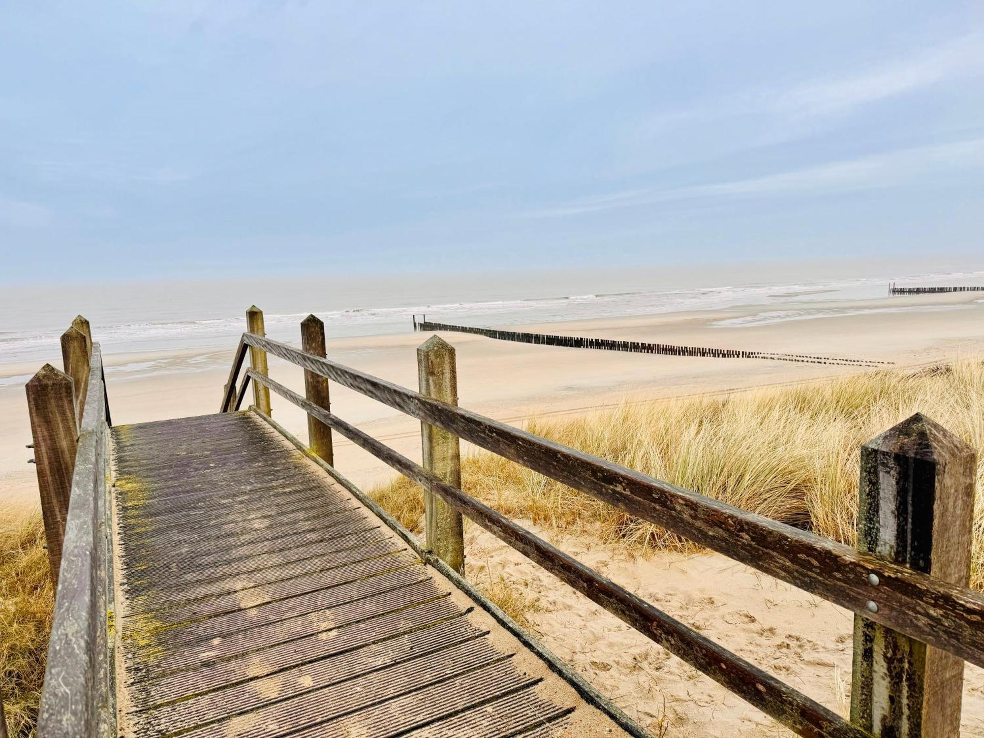 Beach & Forest Retreat -Domburg- Oostkapelle Exteriör bild