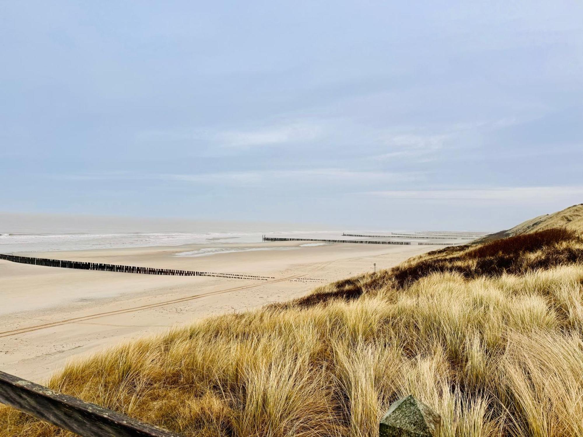 Beach & Forest Retreat -Domburg- Oostkapelle Exteriör bild