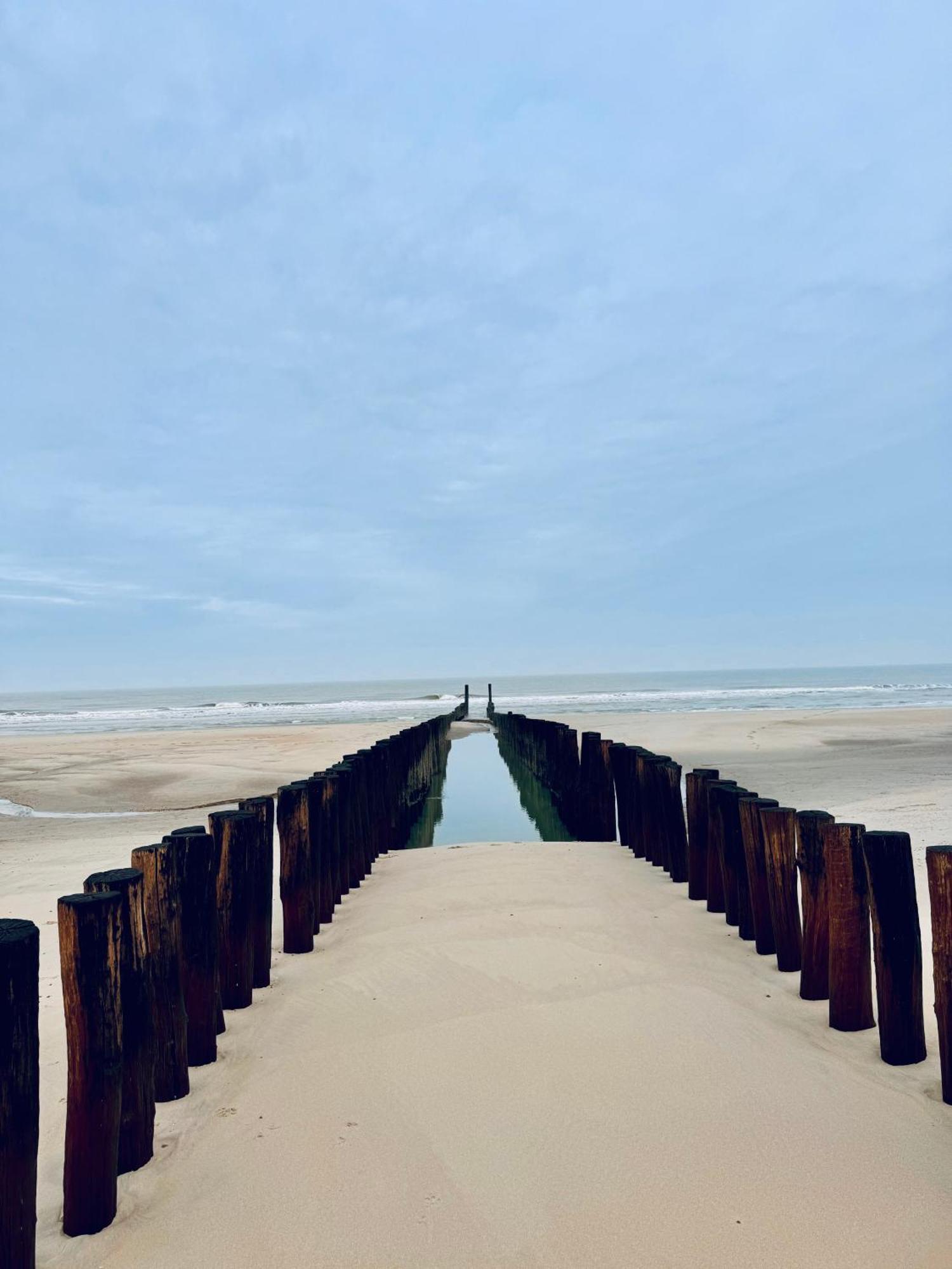 Beach & Forest Retreat -Domburg- Oostkapelle Exteriör bild